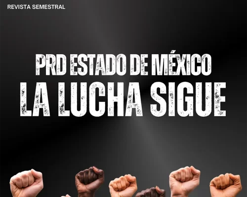 Reflexiones desde la izquierda No. 1